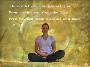 2013_09_09_Meditation_Quote_byh.koppdelaney